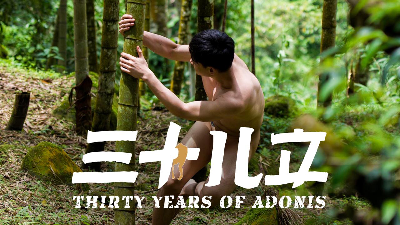 Thirty Years of Adonis