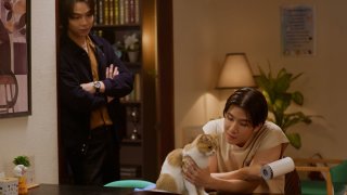 以猫偿爱 第3集