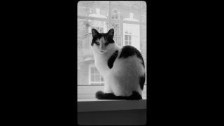 คนสองหน้าราศีเมถุน