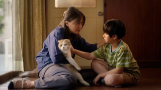 Cat for Cash Episode 2