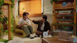 Cat for Cash Episode 8