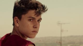 柏林泰迪熊短酷1