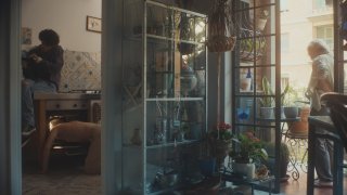 蓝色螯虾的衰小烂事