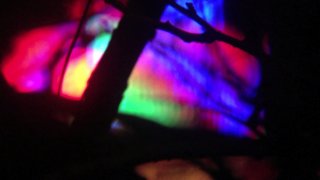 ( Aug.12 ) Forest Dreaming