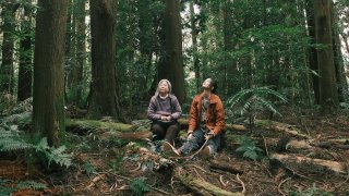 【4/30上架】樹冠羞避