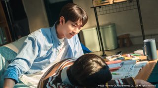 桃花开好了 第8集 (终)