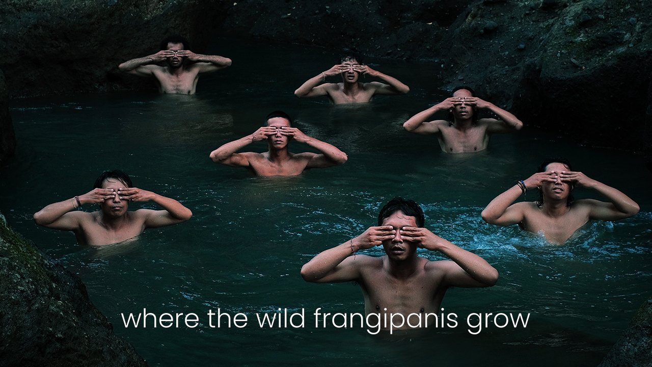 【12/16上架】鸡蛋花开的那刻