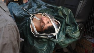 Ghosts Just Want to Have Fun