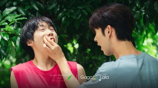 Secrets Happened on the Litchi Island