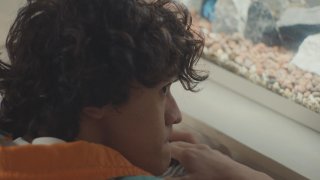 蓝色螯虾的衰小烂事