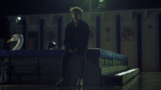 ลอริสสบายดีไหม