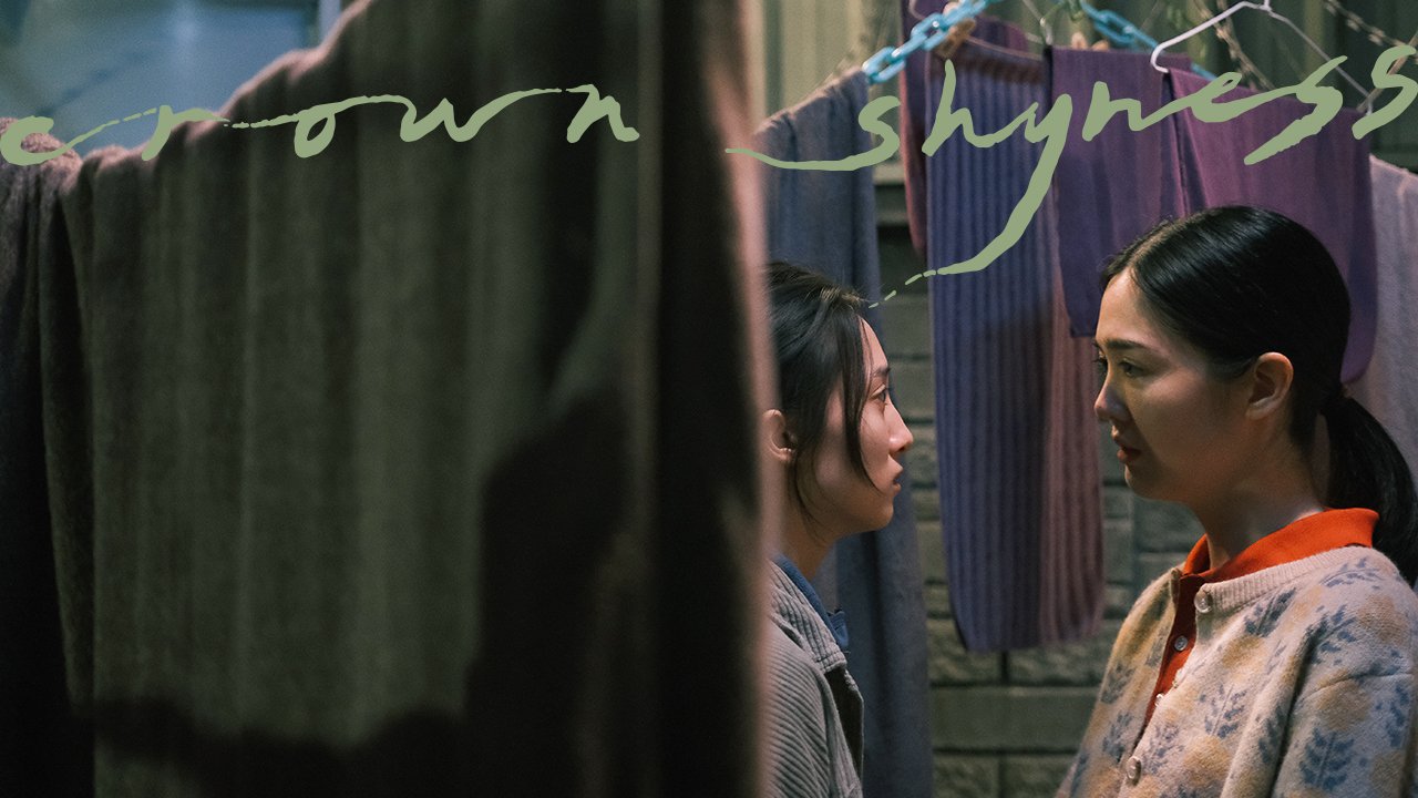 ( Apr.30 ) Crown Shyness