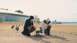 島根戀愛季節 第4集