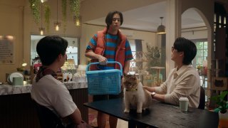 以貓償愛 第6集