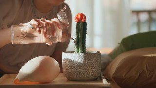 Lulu Episode 6