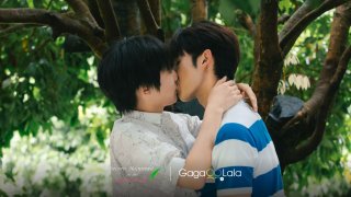 Secrets Happened on the Litchi Island